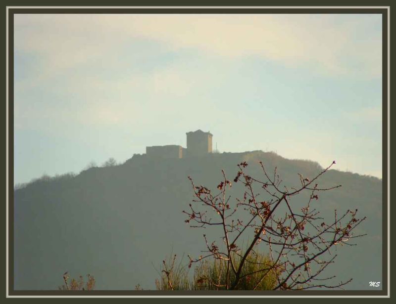 a rvore e o castelo de monforte do rio livre.jpg